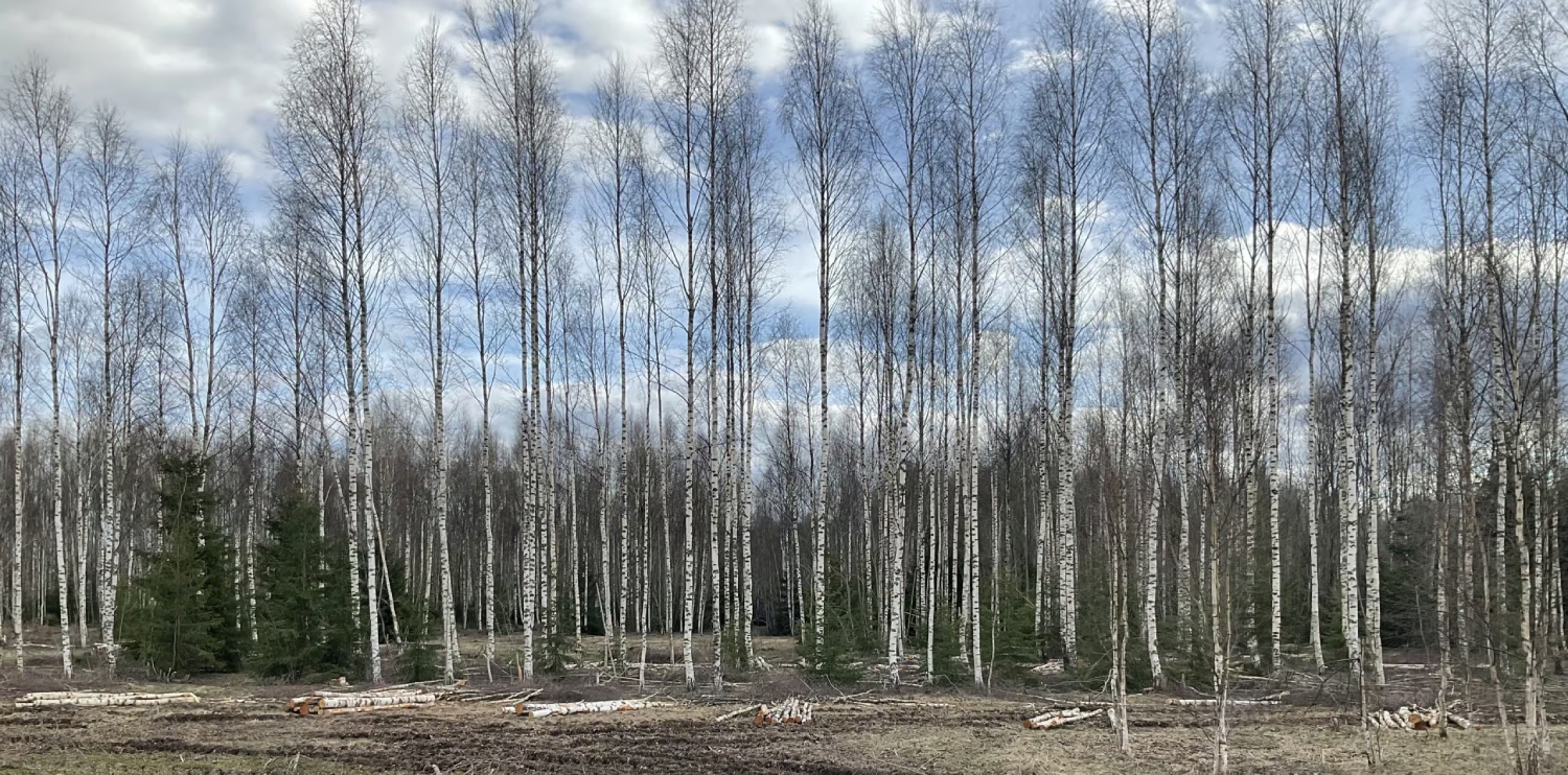 Vestman – jätkusuutlik lähenemine maa kasutamisele